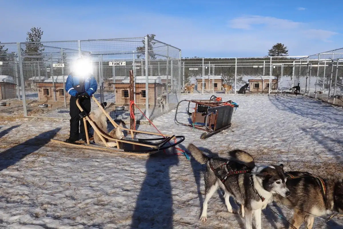 このそりを引いてもらいます