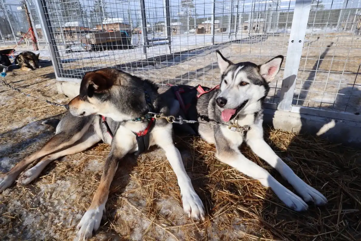 くつろぎ Version