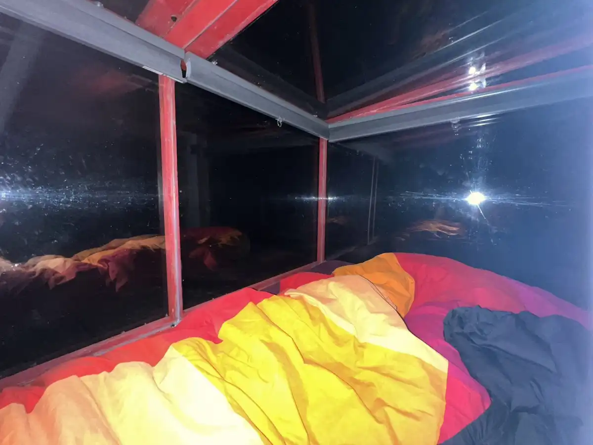 キャビン内はこんな感じ