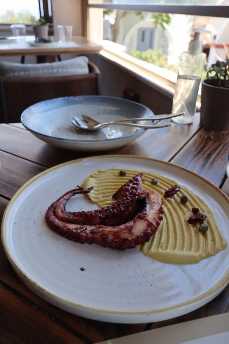 Grilled Octopus
