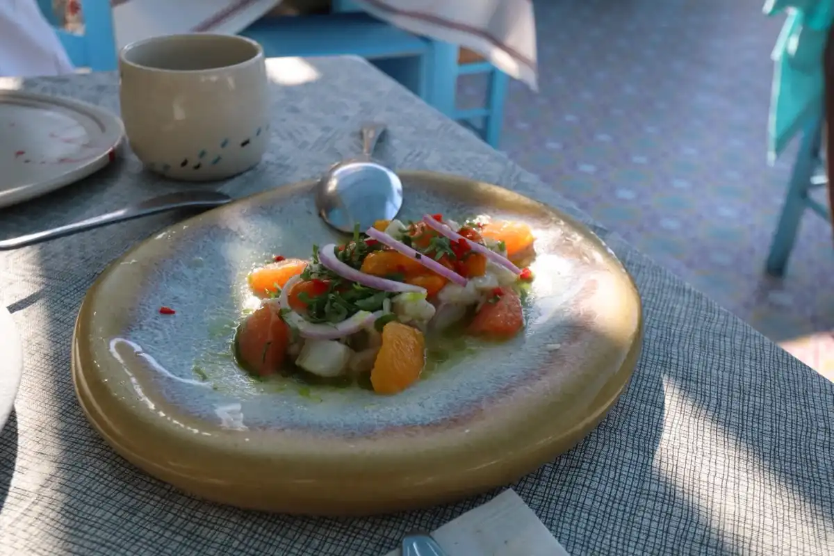 Fresh fish ceviche