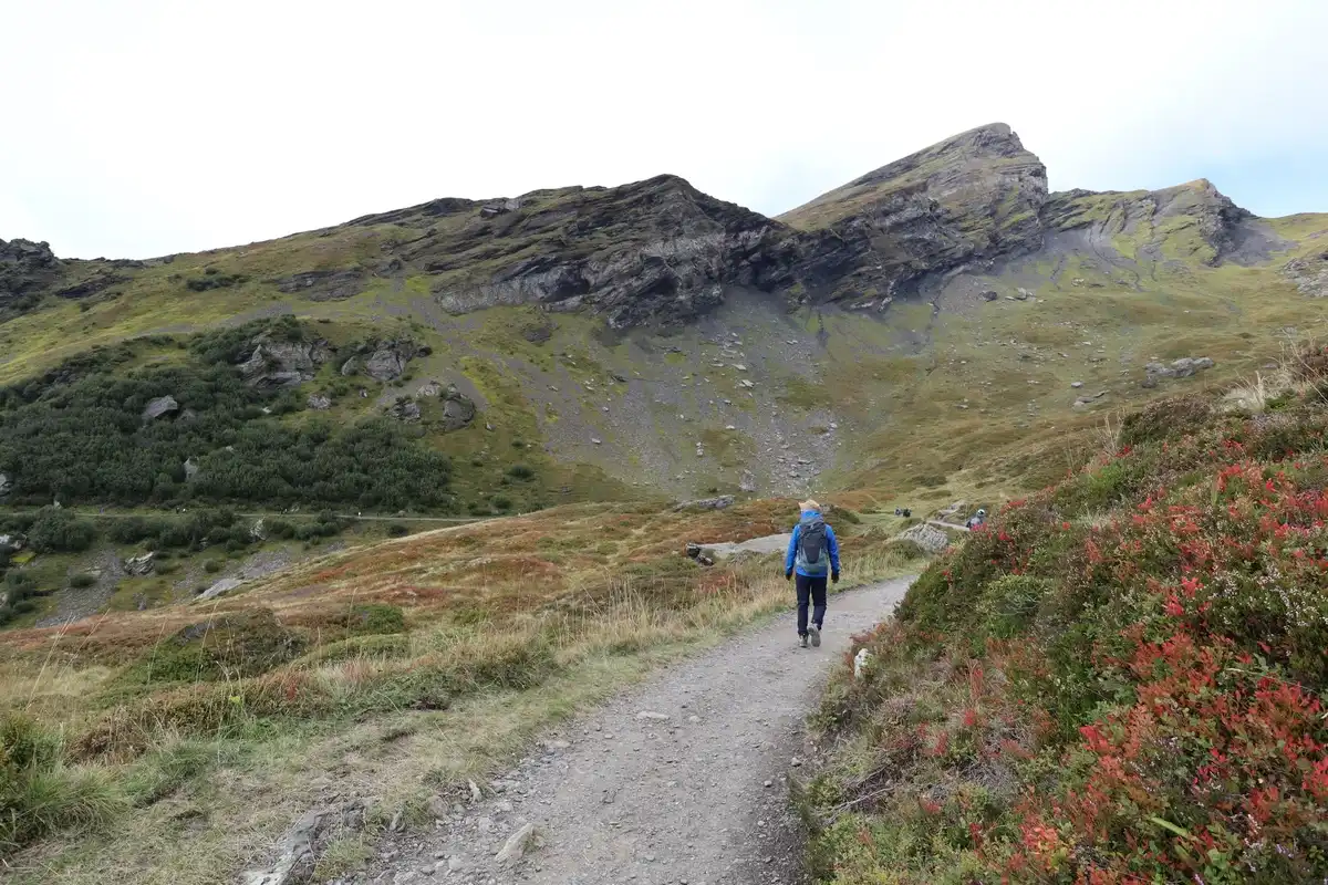 ほんの少し晴れてきた