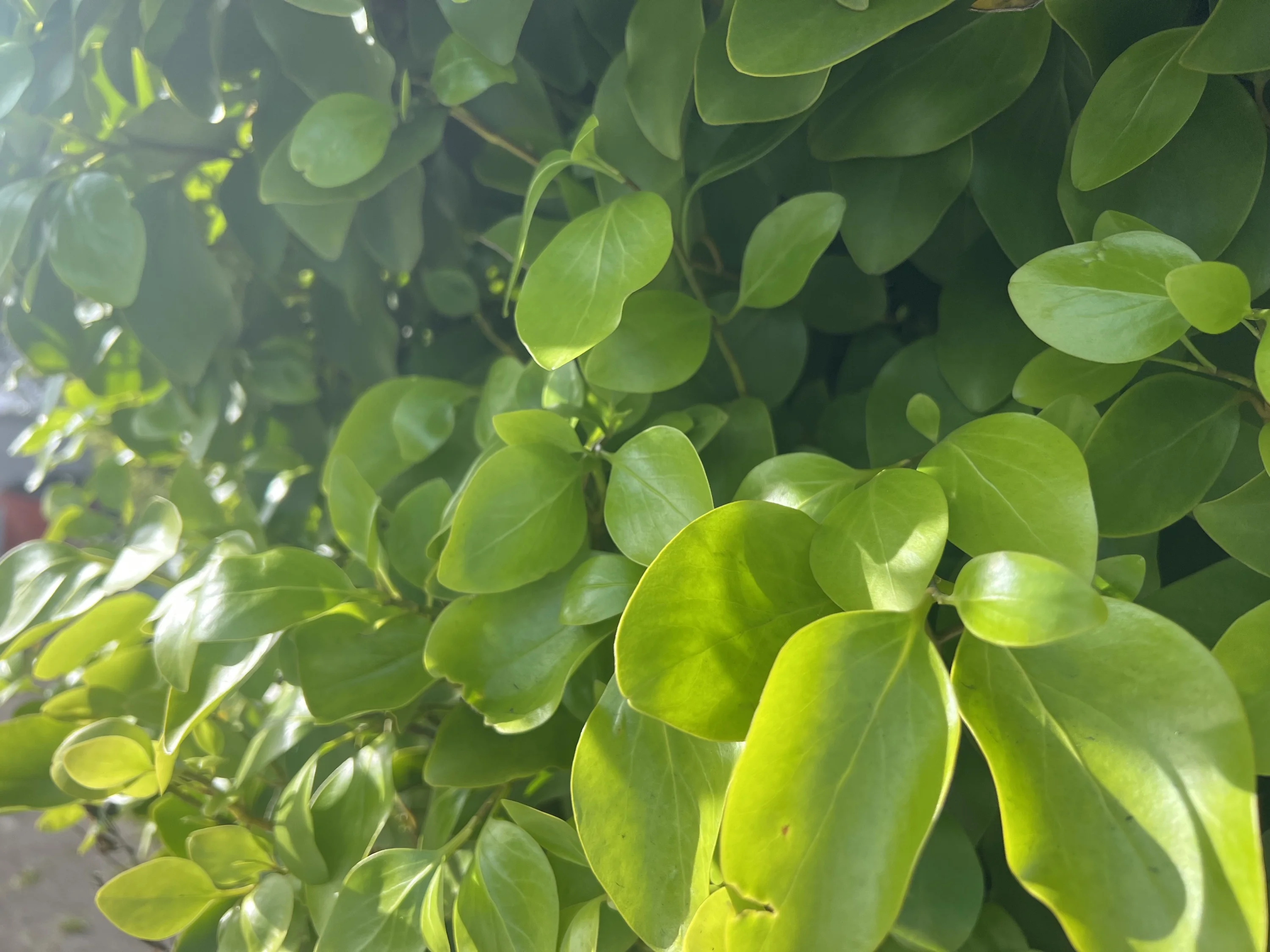 Week 02 | Apr 6 – Apr 12