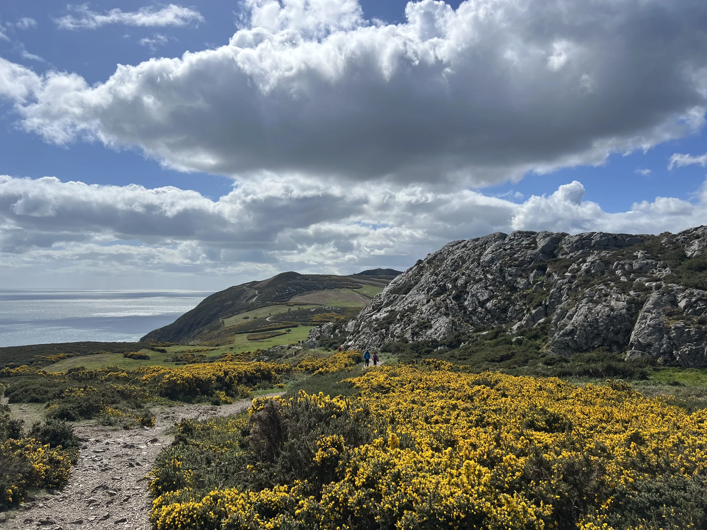 Week 03 | Apr 13 – Apr 19