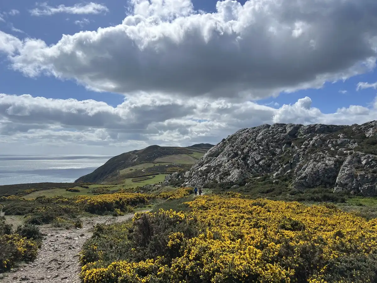 Week 03 | Apr 13 – Apr 19