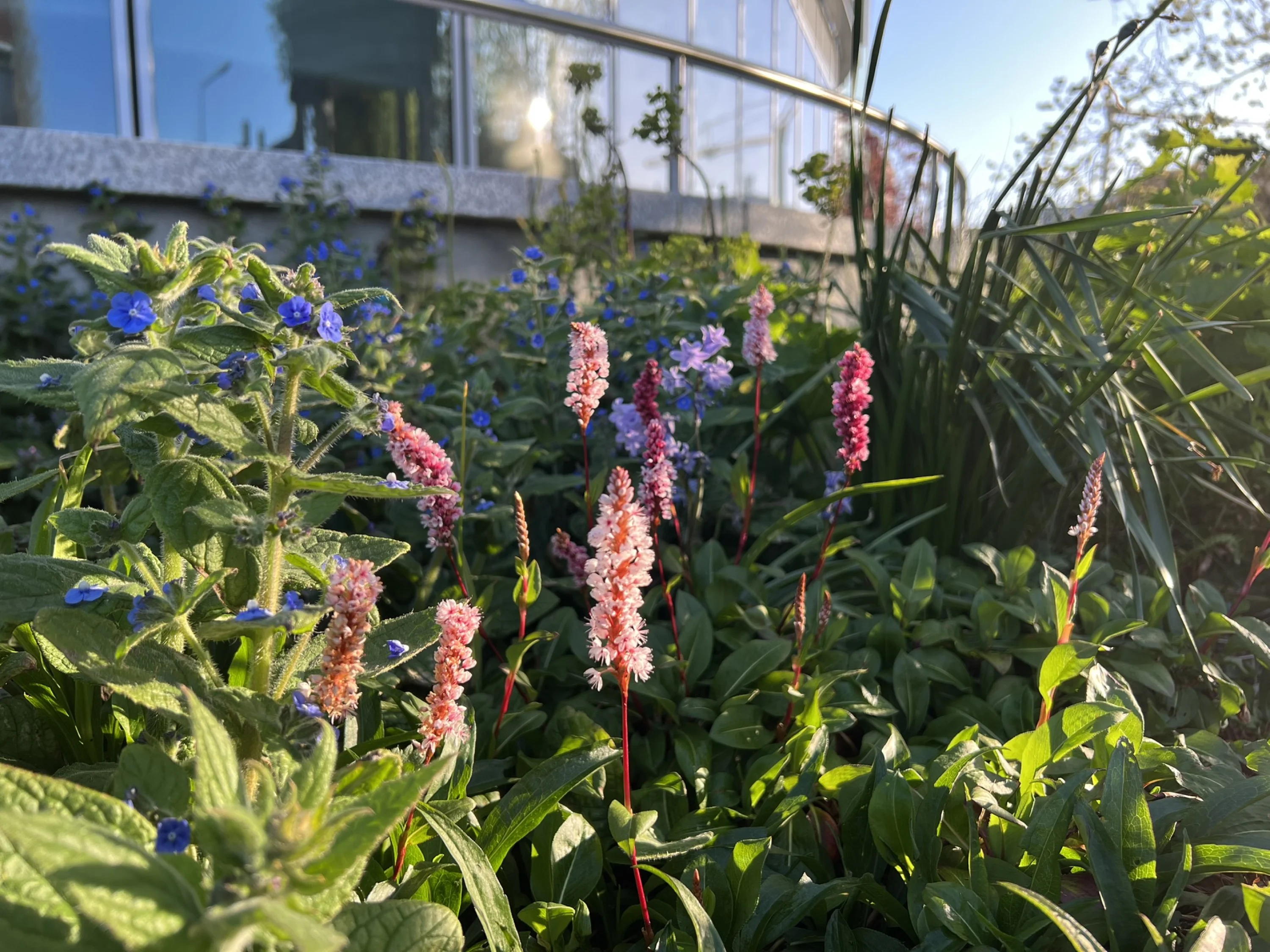 Week 06 | May 04 – May 10